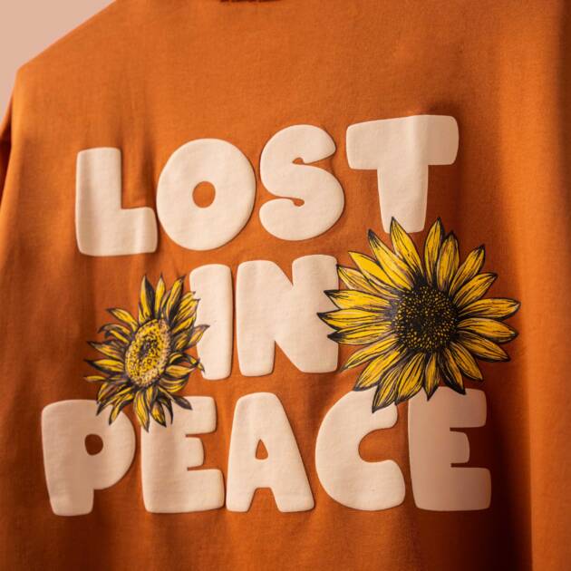 Lost In Peace